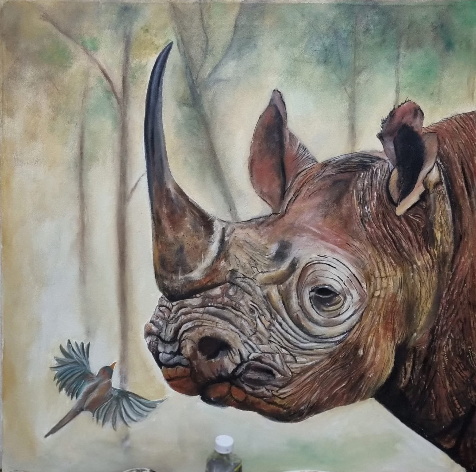 The Single Horned Rhino